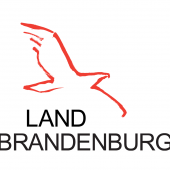 Brandenburg beauftragt kakoii Berlin mit Suchtpräventionsfilm und Begleitmaterialien für Schulen und Bildungseinrichtungen.