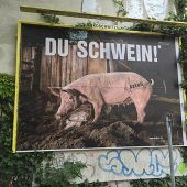 kakoii Public Art Space - Du Schwein - dadaistische Intervention im öffentlichen Raum