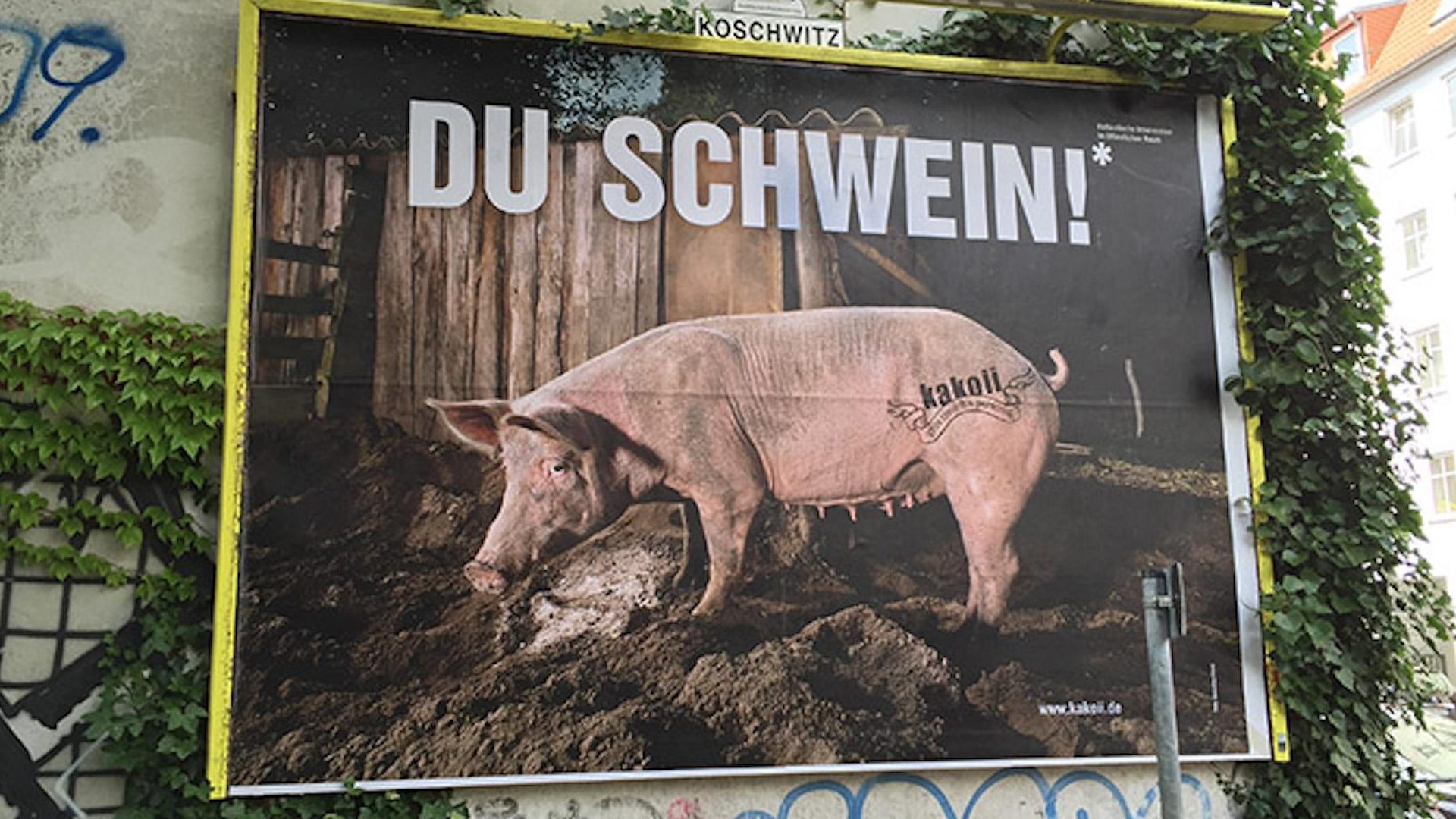 du musst ein schwein sein