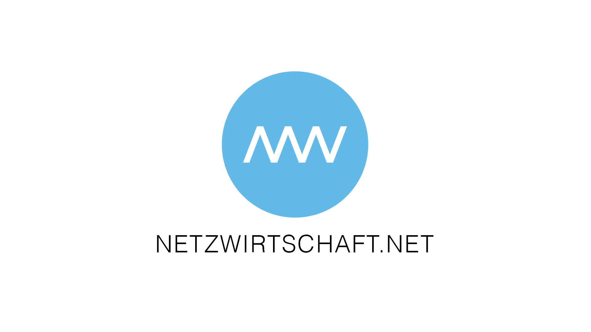 Netzwirtschaft.net: Interview mit Stefan Mannes