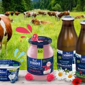 2019 - Alles bio: Joghurt, Allzweckreiniger & Badepulver