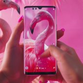 Erfolgreiches TikTok Marketing. Sind Tiktok Ads der Schlüssel zu erfolgreichem Marketing Tiktok-Marketing?